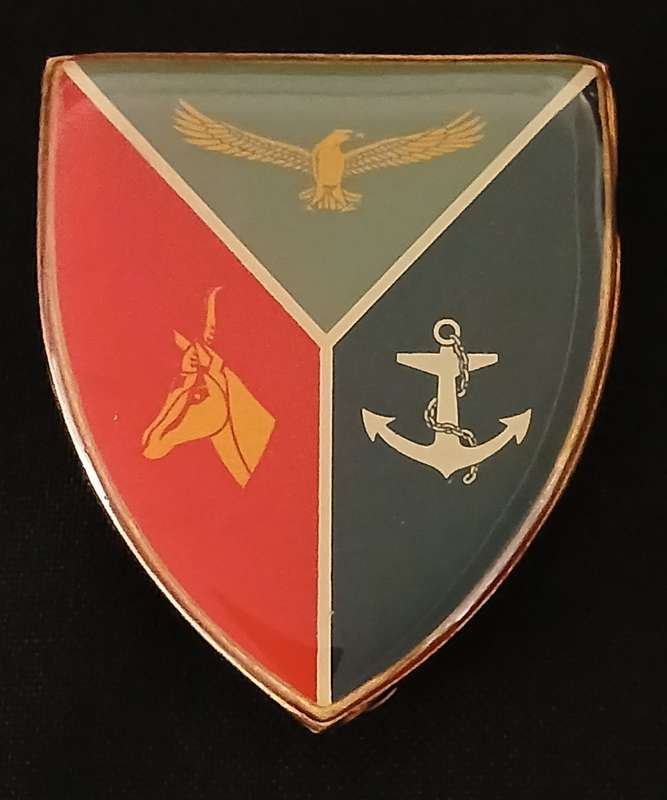 SADF DEFENCE FORCE HQ    ( Note One Pin Repaired )       ` Very SCARCE `     D136