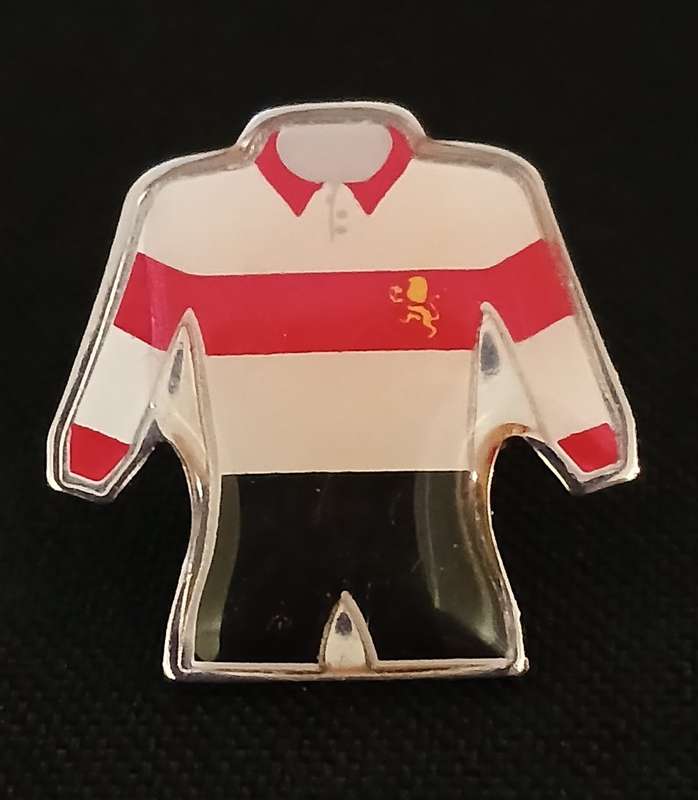 TRANSVAAL / GOLDEN LIONS RUGBY PIN  BADGE                      V4