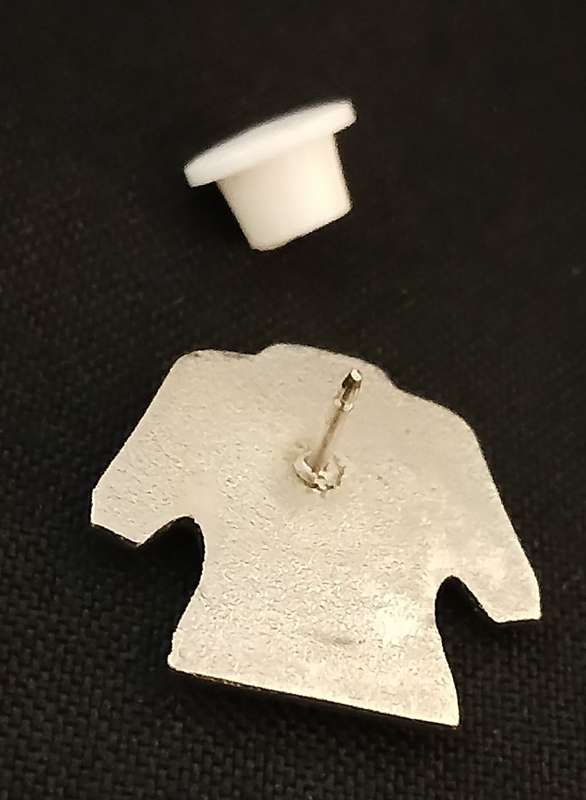 TRANSVAAL / GOLDEN LIONS RUGBY PIN  BADGE                      V4
