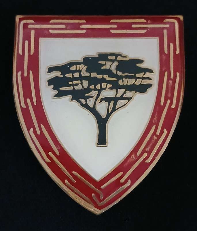 SANDF LOHATLA SUPPORT BASE SHOULDER FLASH                     D139