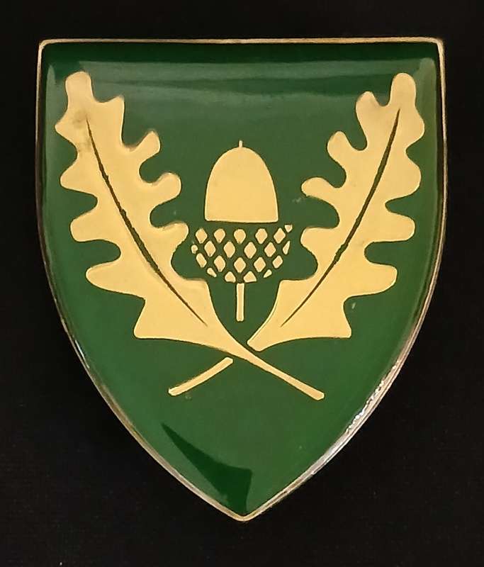 SADF REGIMENT STELLENBOSCH SOULDER FLASH    ` SCARCE `                  D144