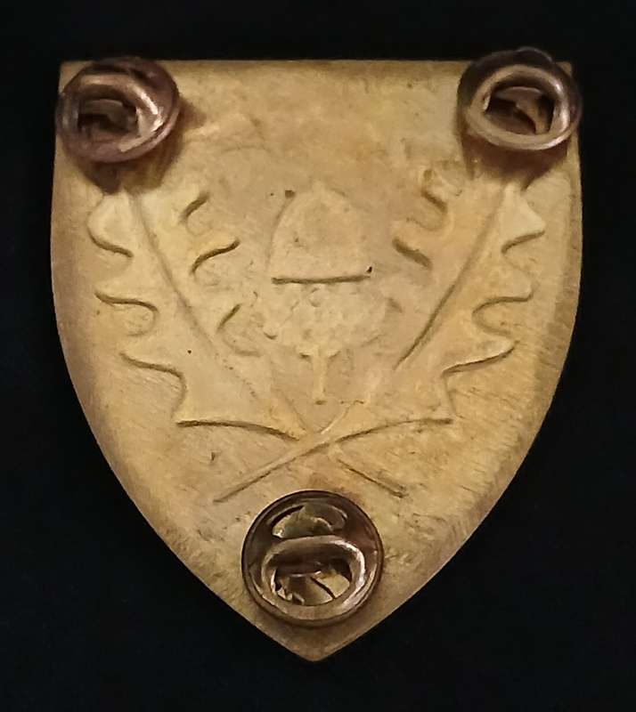 SADF REGIMENT STELLENBOSCH SOULDER FLASH    ` SCARCE `                  D144