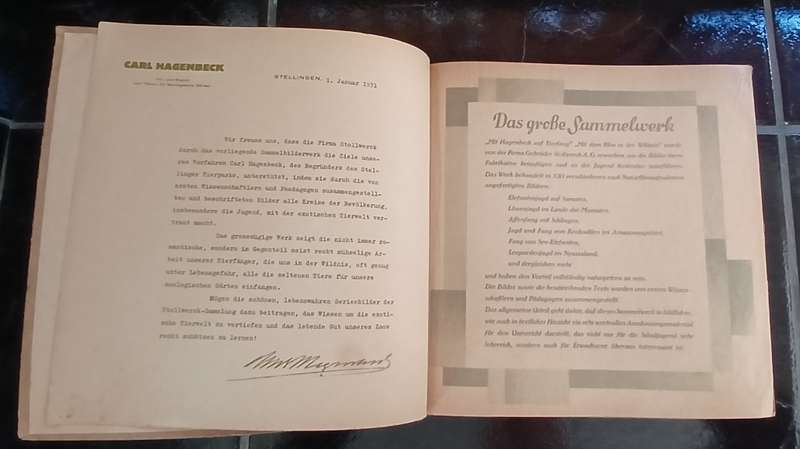 ` Mit Hagenbeck auf Tierfang `  Collectible picture album vintage 1931    `` WoW ``