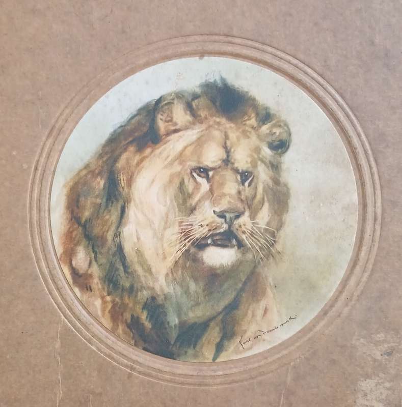 ` Mit Hagenbeck auf Tierfang `  Collectible picture album vintage 1931    `` WoW ``