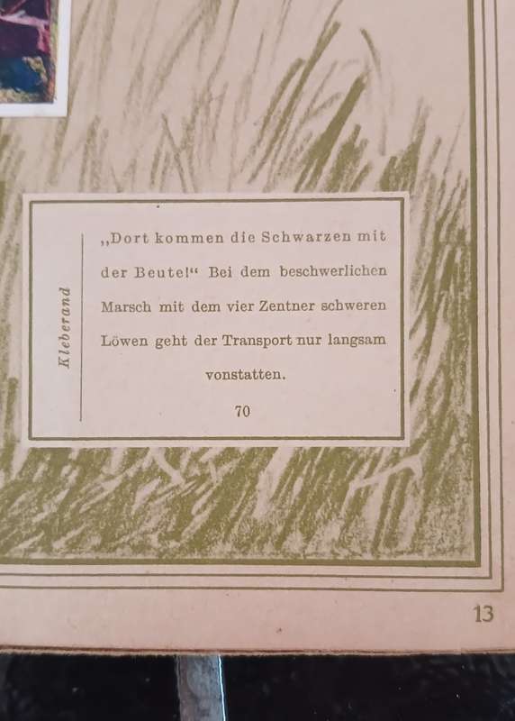 ` Mit Hagenbeck auf Tierfang `  Collectible picture album vintage 1931    `` WoW ``