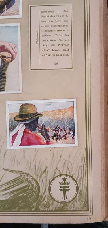 ` Mit Hagenbeck auf Tierfang `  Collectible picture album vintage 1931    `` WoW ``