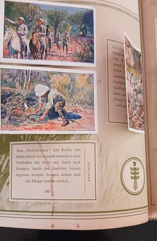 ` Mit Hagenbeck auf Tierfang `  Collectible picture album vintage 1931    `` WoW ``