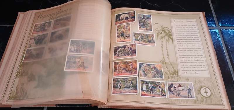 ` Mit Hagenbeck auf Tierfang `  Collectible picture album vintage 1931    `` WoW ``