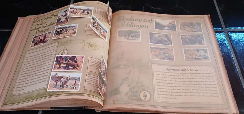 ` Mit Hagenbeck auf Tierfang `  Collectible picture album vintage 1931    `` WoW ``