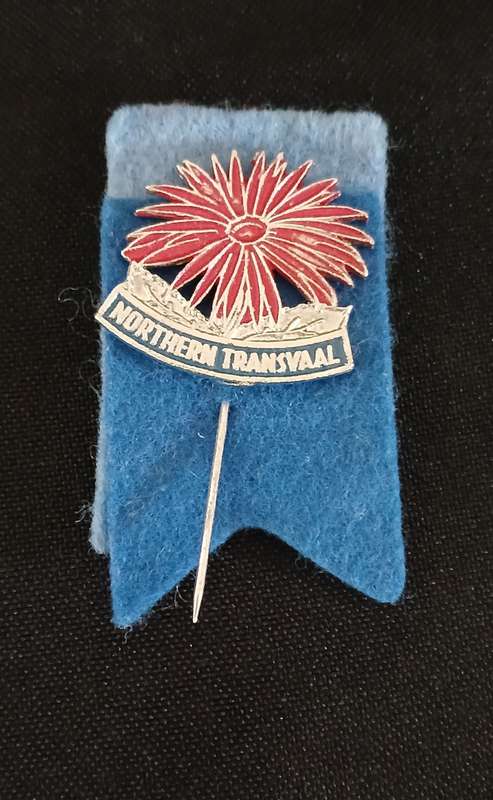 VINTAGE NORTHEREN TRANSVAAL RUGBY PIN BADGE                           V44