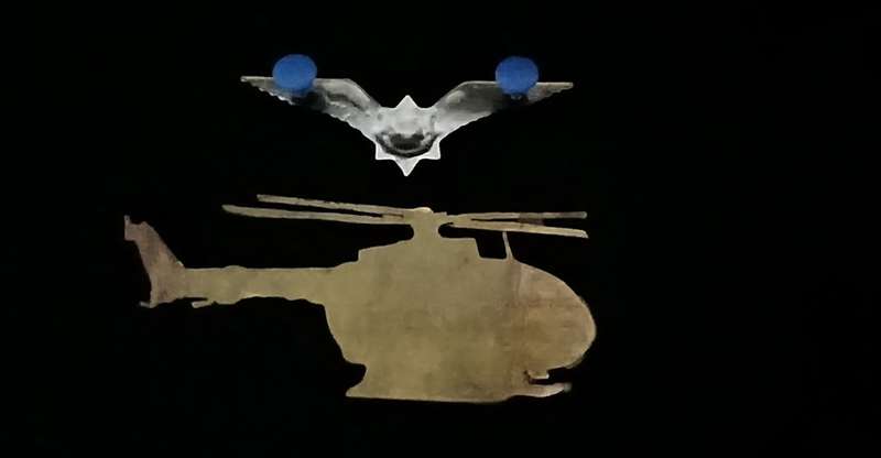 South African Police Helicopter  Badge & Pilot`s Wings  1980`s                     V48