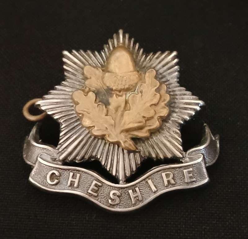 CHESHIRE REGIMENT BI - METAL CAP BADGE                         V55