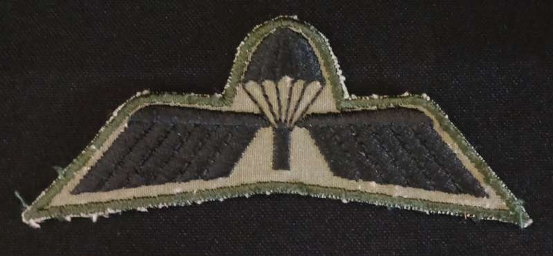 DUTCH PARACHUTE WINGS  ( NETHERLANDS ARMY M93 )                                V64