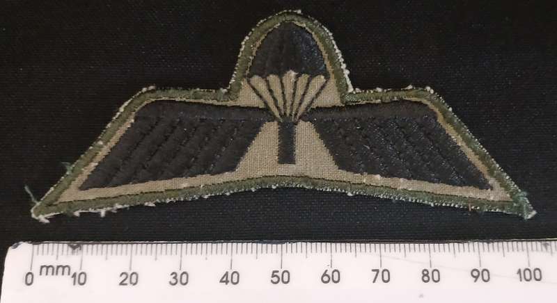 DUTCH PARACHUTE WINGS  ( NETHERLANDS ARMY M93 )                                V64