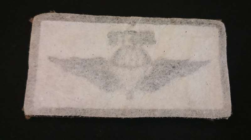 S.W.A PARATROOPER INSTRUCTOR WINGS                              V69