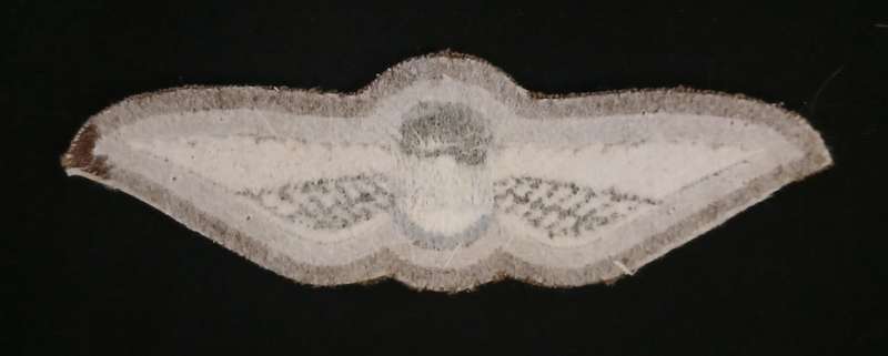 STATIC LINE INSTRUCTOR CLOTH WINGS  ( POSIBLE REPLICA )                      V70