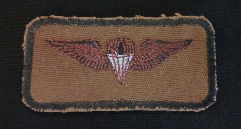 SWA PARACHUTE BASIC WING EMBROIDERED ON NUTRIA           V72