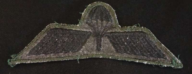 DUTCH PARACUTE CLOTH WING                                 V75