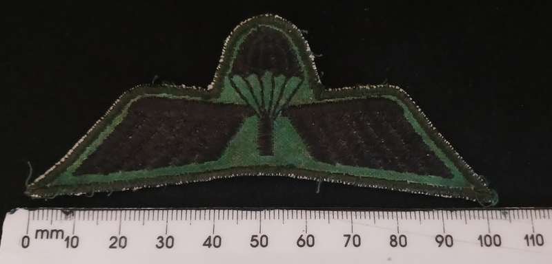 DUTCH PARACUTE CLOTH WING                                 V75