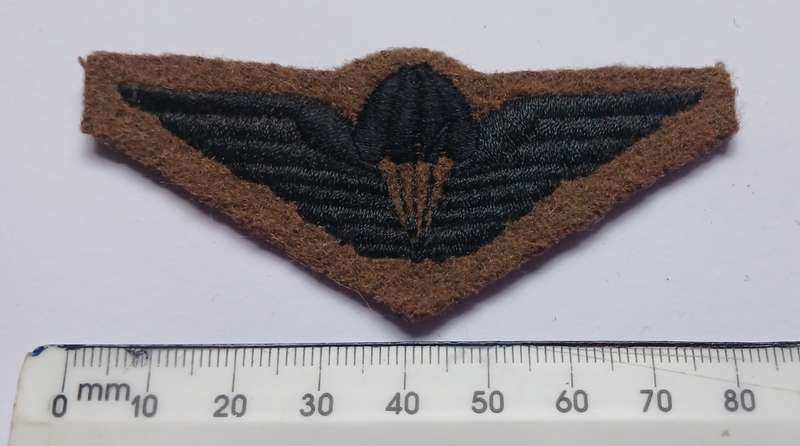 CISKEI PARACUTE CLOTH WINGS                               V77