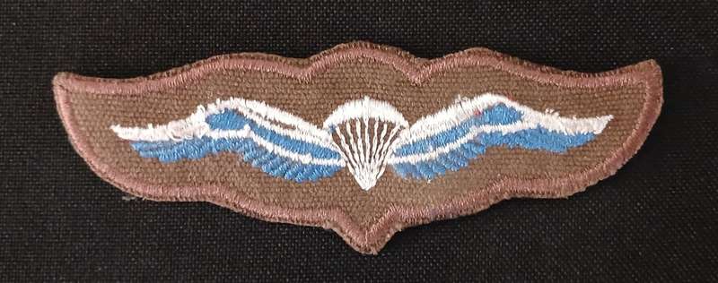 SA PARACHUTE BASIC WINGS     `` FIRST STYLE ``                               V78