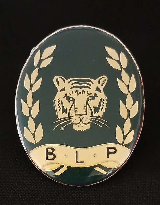 BOTSWANA OFFICERS RAILWAY POLICE CAP BADGE                                 V95