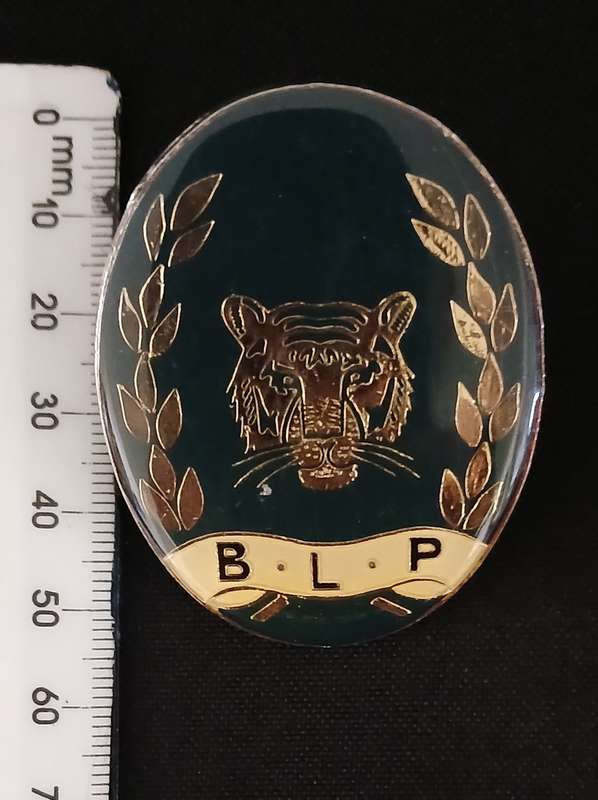 BOTSWANA OFFICERS RAILWAY POLICE CAP BADGE                                 V95
