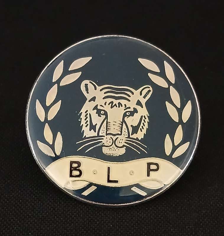 BOTSWANA RAILWAY POLICE CAP BADGE                       V96