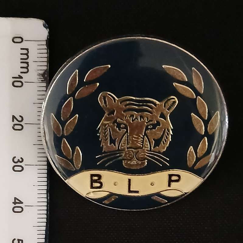 BOTSWANA RAILWAY POLICE CAP BADGE                       V96