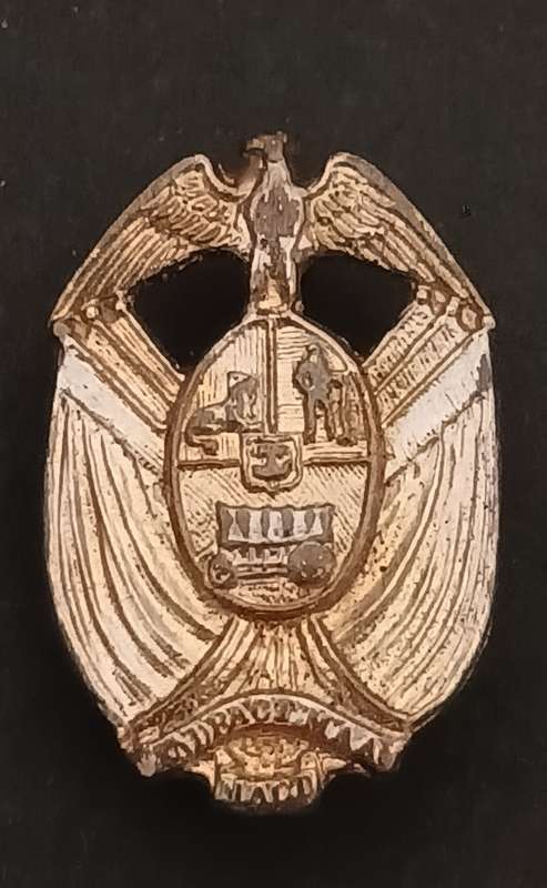 Transvaal Provincial Administration Traffic Police collar badge  1970s  1995     V115