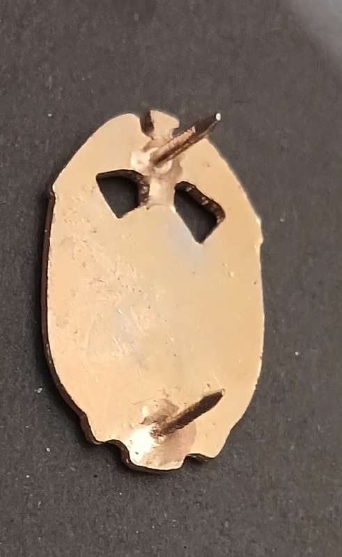 Transvaal Provincial Administration Traffic Police collar badge  1970s  1995     V115