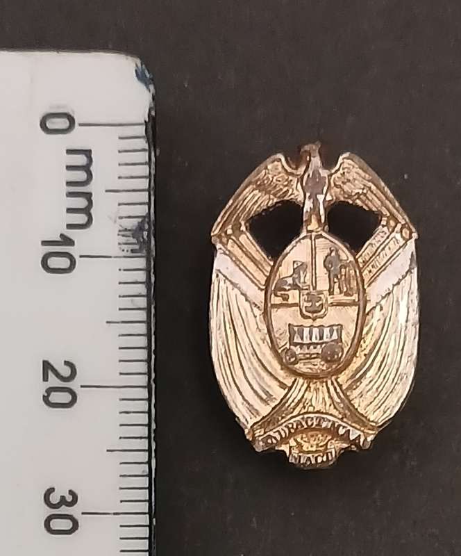 Transvaal Provincial Administration Traffic Police collar badge  1970s  1995     V115