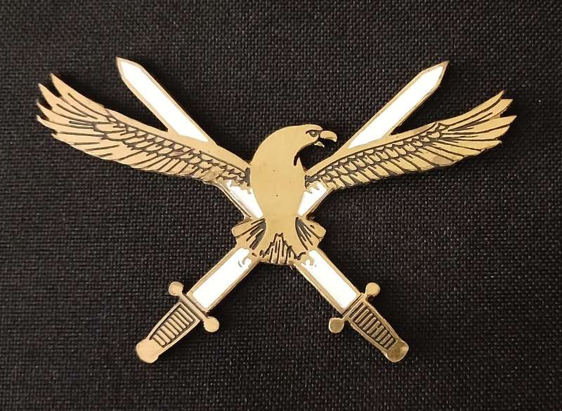SAAF HQ -- SOUTH AFRICAN AIR FORCE HEADQUARTER BADGE        V116