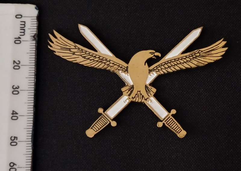 SAAF HQ -- SOUTH AFRICAN AIR FORCE HEADQUARTER BADGE        V116