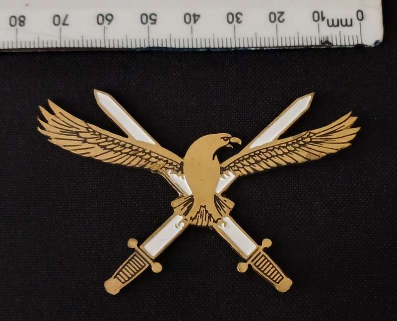 SAAF HQ -- SOUTH AFRICAN AIR FORCE HEADQUARTER BADGE        V116