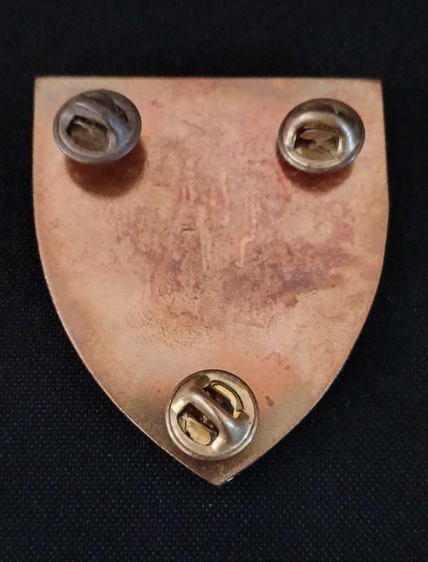 SAMI - SAFI   SOUTH AFRICAN FORCES INSTITUTE SHOULDER FLASH       `` RARE ``     D145