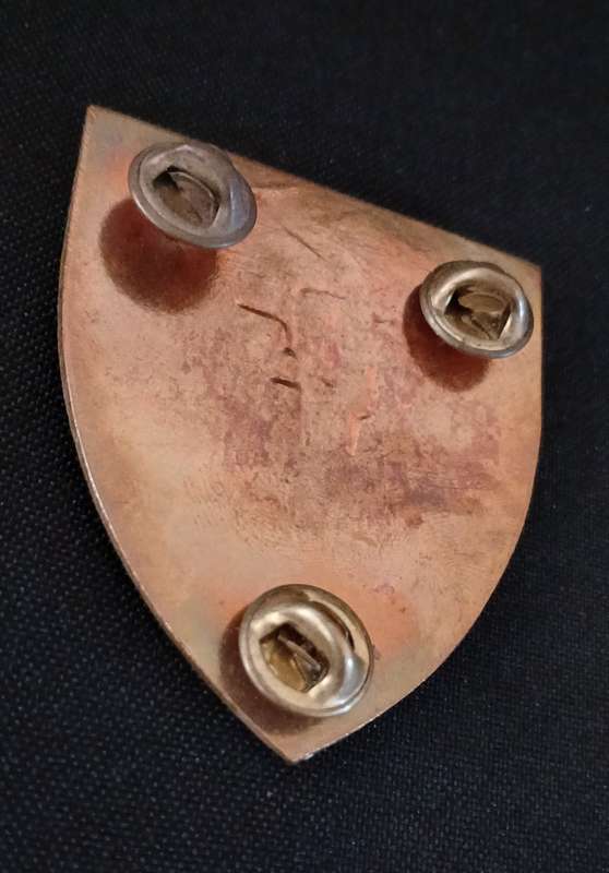 SAMI - SAFI   SOUTH AFRICAN FORCES INSTITUTE SHOULDER FLASH       `` RARE ``     D145