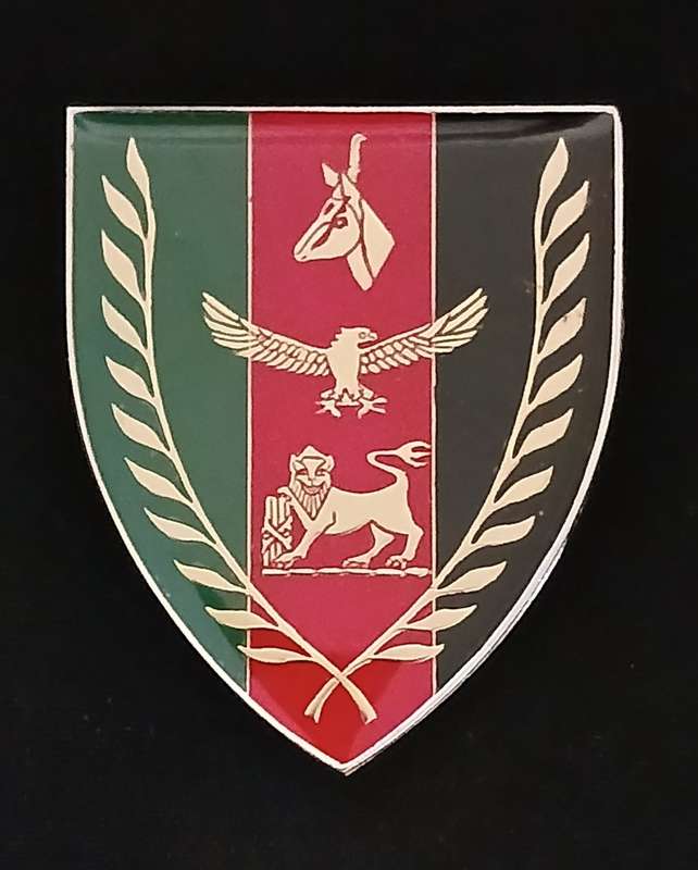 SADF CHIEF OF JOINT COMBAT FORCES SHOULDER FLASH         ` RARE `     V130