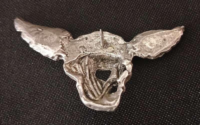 UNKNOWN SKULL WING BADGE                          V132