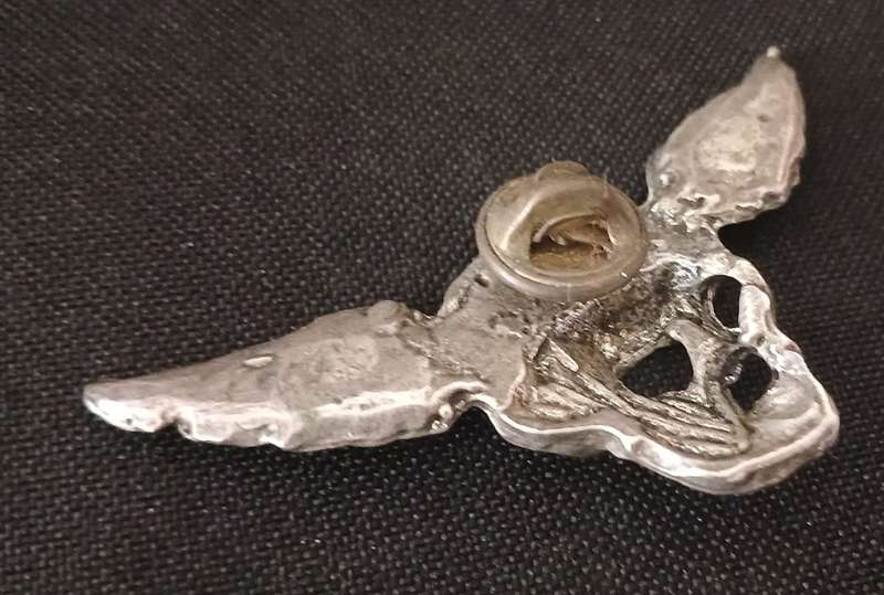 UNKNOWN SKULL WING BADGE                          V132