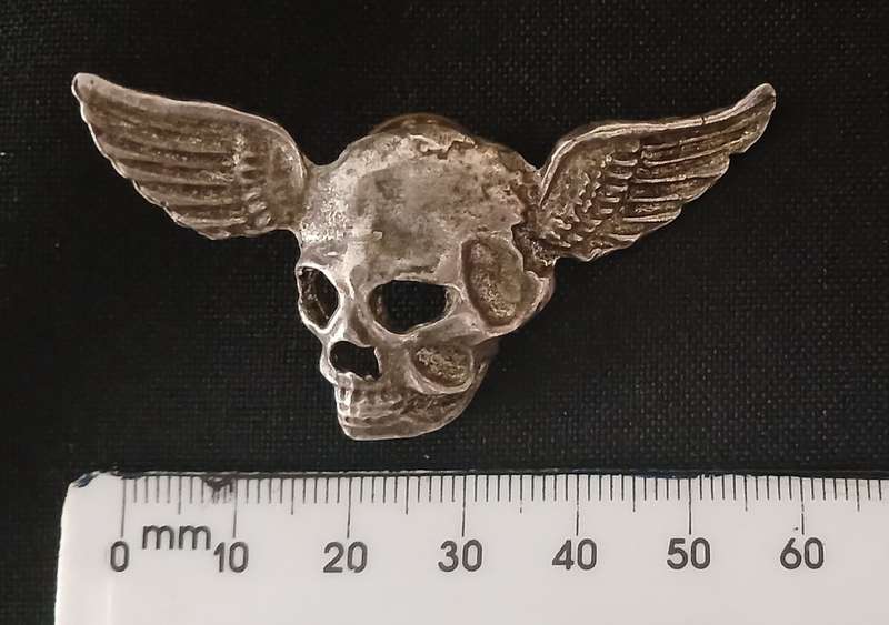 UNKNOWN SKULL WING BADGE                          V132