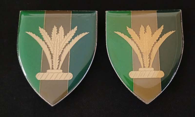 SADF SWA. SECTOR 10 SIGNAL SQUADRON SHOULDER FLASHES               D149