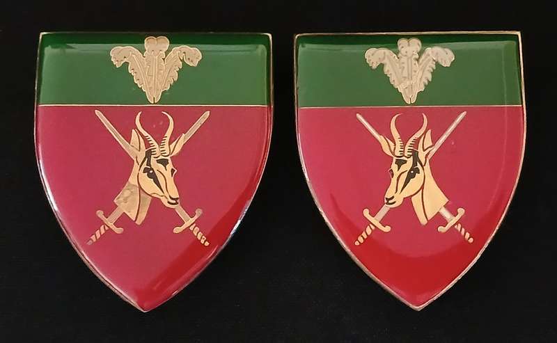 SADF SOUTHERN CAPE COMMAND SHOULDER FLASHES    (One Pin Repaired )        D164