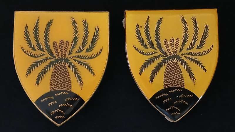 SADF 4 SA INFANTRY BATTALION SHOULDER FLASHES                  D169