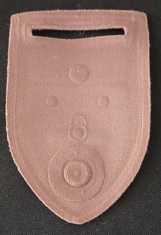 SADF 151 BATTALION WITH FREE STATE COMMAND TUPPER FLASH  ( SEE MAGNET NOT PIN )    C4
