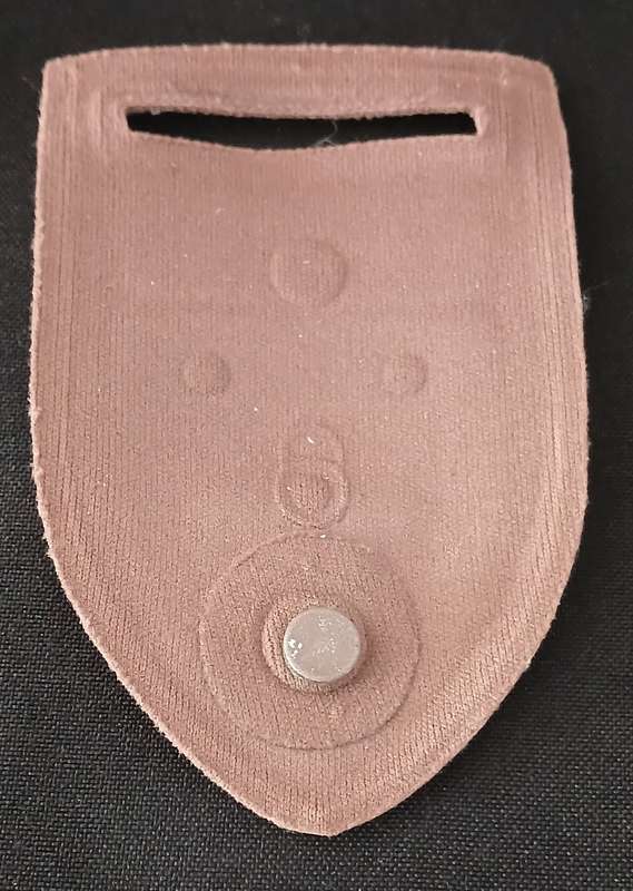 SADF 151 BATTALION WITH FREE STATE COMMAND TUPPER FLASH  ( SEE MAGNET NOT PIN )    C4