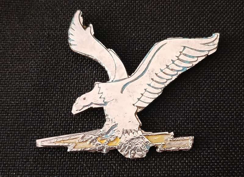 Ciskei Defence Force Badge    ( Note No Pins )                      C14