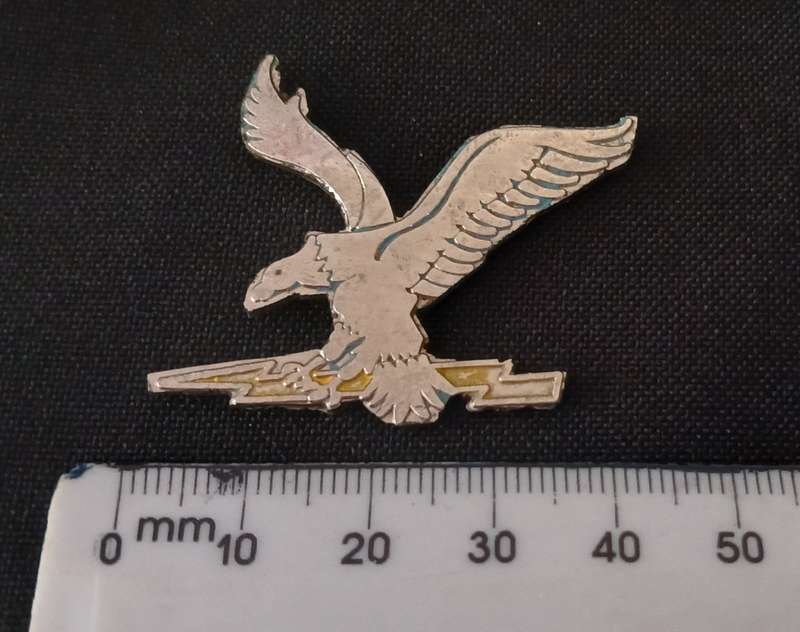 Ciskei Defence Force Badge    ( Note No Pins )                      C14