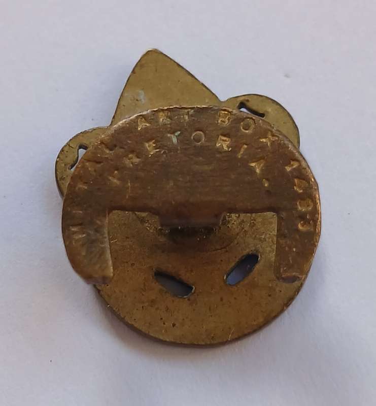 SA BOY SCOUTS ( AFRIKAANS VARIETY ) PADVINDERS BUTTON BADGE            C17