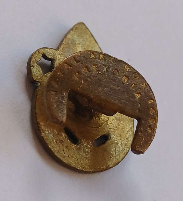 SA BOY SCOUTS ( AFRIKAANS VARIETY ) PADVINDERS BUTTON BADGE            C17